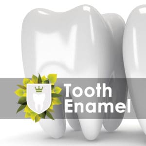 Tooth with shiny, white enamel covered with the text, "Tooth Enamel"
