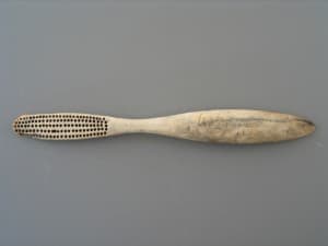 Animal Bone Toothbrush | China