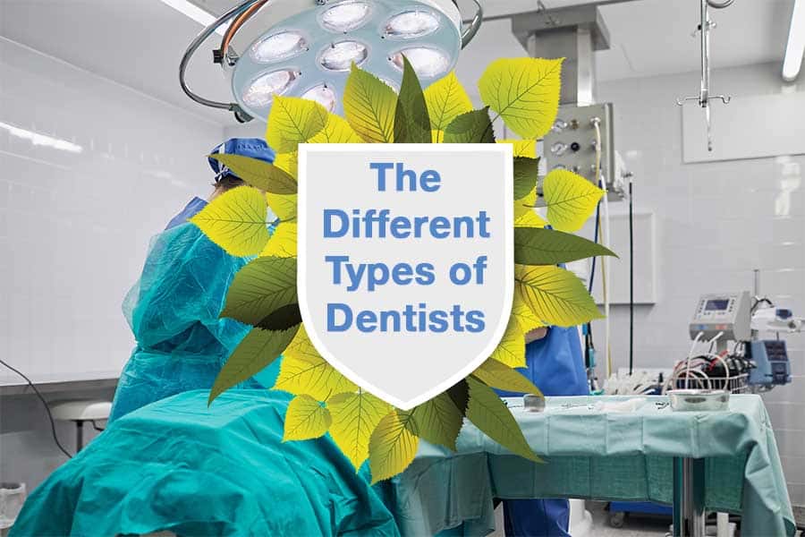 The Different Types of Dentists