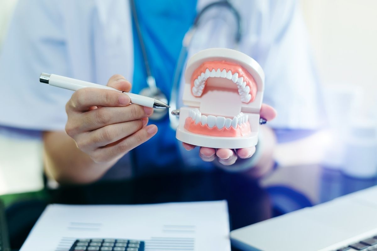 Dentist holds open dental model and points to teeth with a pen during an oral health consultation.