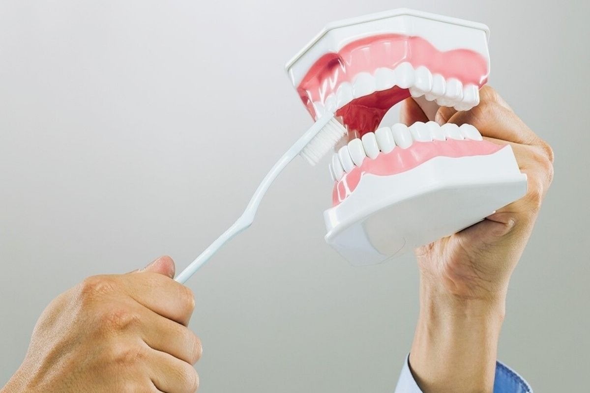 Close-up dental model with gums and teeth, instructor uses a toothbrush to demonstrate cleaning technique.